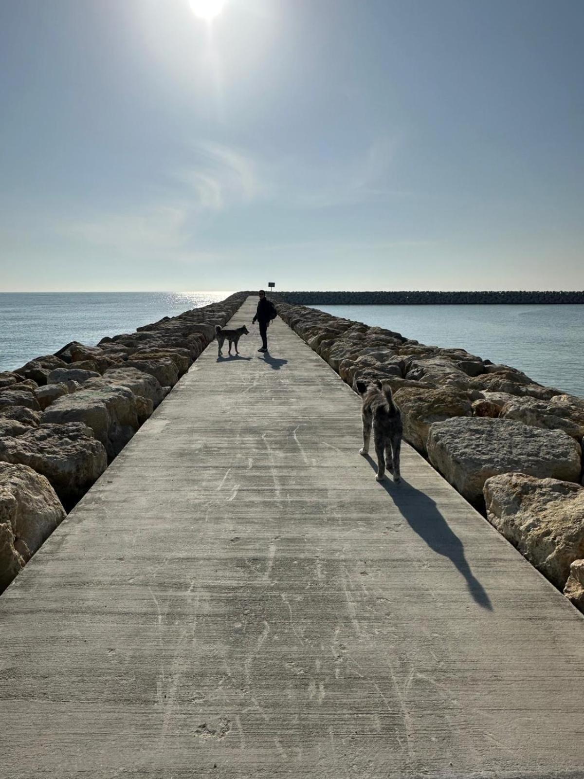 Aky&Suki Sea View Apartments Olimp Eksteriør billede